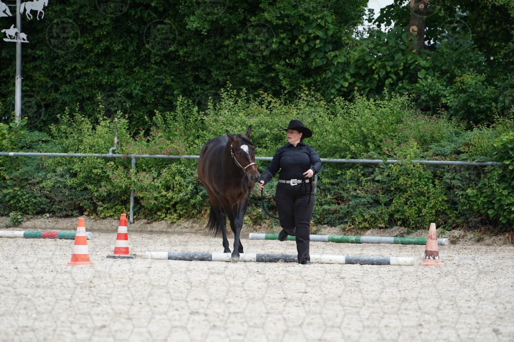 s_A9_06366.jpg
